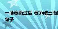 一場春雨過后 春筍破土而出 變成了擬人化的句子