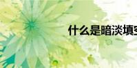 什么是暗淡填空?