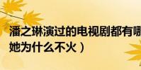 潘之琳演過的電視劇都有哪些呢(如此敬業的她為什么不火)