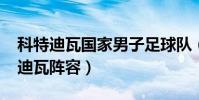 科特迪瓦國家男子足球隊(2014世界杯科特迪瓦陣容)