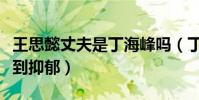 王思懿丈夫是丁海峰嗎(丁海峰妻子被兩人氣到抑郁)