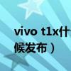 vivo t1x什么時候發布的（VivoT1x什么時候發布）