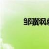 鄒驥諷刺《王琦易執教》的作者