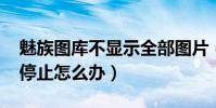 魅族圖庫不顯示全部圖片(魅族MX4圖片庫停止怎么辦)