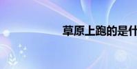 草原上跑的是什么?