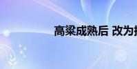 高粱成熟后 改為擬人句