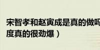 宋智孝和趙寅成是真的做嗎(兩人影片中的尺度真的很勁爆)
