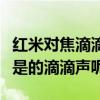 紅米對焦滴滴聲怎么消除（如何去除紅米對焦是的滴滴聲呢）