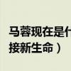 馬蓉現在是什么狀況（曬出孕婦卡通圖并稱迎接新生命）