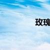 玫瑰精華主要內容約20字