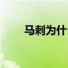 馬刺為什么賺錢（為什么馬刺沒錢）