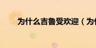 為什么吉魯受歡迎(為什么黑吉魯)
