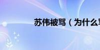 蘇偉被罵(為什么罵蘇偉)