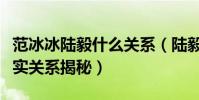 范冰冰陸毅什么關系(陸毅出軌過嗎與范爺真實關系揭秘)