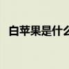 白蘋果是什么樣子的（白蘋果是什么來的）