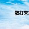 散打朱家莊有什么詳細的故事？