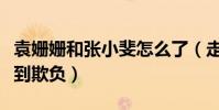 袁姍姍和張小斐怎么了(走紅之前的她一直受到欺負)