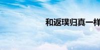 和返璞歸真一樣嗎?
