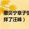 撒貝寧章子怡為什么分開（章子怡為何最后選擇了汪峰）