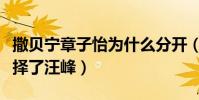 撒貝寧章子怡為什么分開(章子怡為何最后選擇了汪峰)