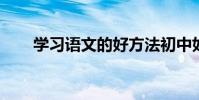 學習語文的好方法初中如何學習語文