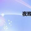 夜晚用美麗的燈光寫古詩