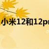 小米12和12pro評測（小米12pro和12區別）