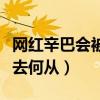 網紅辛巴會被判刑嗎（辛巴在燕窩事件后該何去何從）
