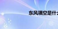 東風填空是什么?