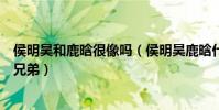 侯明昊和鹿晗很像嗎(侯明昊鹿晗什么關系兩人樣貌真像兩兄弟)