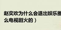 趙奕歡為什么會退出娛樂圈(趙奕歡是因為什么電視劇火的)