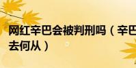 網紅辛巴會被判刑嗎(辛巴在燕窩事件后該何去何從)