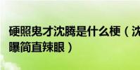 硬照鬼才沈騰是什么梗(沈騰奇葩拍照姿勢被曝簡直辣眼)