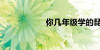 你幾年級學的琵琶?