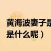 黃海波妻子是海清嗎（黃海波現任妻子的工作是什么呢）
