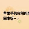 蘋果手機突然間屏幕放大（蘋果4s屏幕突然放大！這是怎么回事呀~）