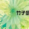 竹子是單個字符還是左右結構