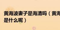 黃海波妻子是海清嗎(黃海波現任妻子的工作是什么呢)