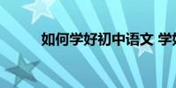 如何學好初中語文 學好初中語文