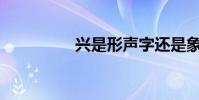 興是形聲字還是象形字?