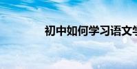 初中如何學習語文學習技巧