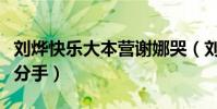 劉燁快樂大本營謝娜哭(劉燁謝娜當年為什么分手)