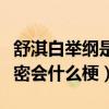 舒淇白舉綱是什么關系（網曝白舉綱舒淇深夜密會什么梗）