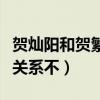 賀燦陽和賀繁星是龍鳳胎嗎（賀燦陽和賀繁星關系不）