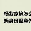楊紫家境怎么樣（爸爸的職業叫人肅然起敬媽媽身份很意外）