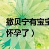 撒貝寧有寶寶了嗎（網曝撒貝寧微博承認妻子懷孕了）