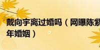 戴向宇離過婚嗎(網曝陳紫函介入他和前妻十年婚姻)
