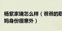 楊紫家境怎么樣(爸爸的職業叫人肅然起敬媽媽身份很意外)