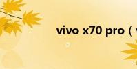 vivo x70 pro(vivo)