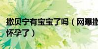 撒貝寧有寶寶了嗎(網曝撒貝寧微博承認妻子懷孕了)